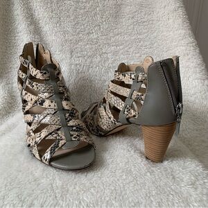 9 and Co. Women's Strappy Heeled Sandals - Snake Print and Gray